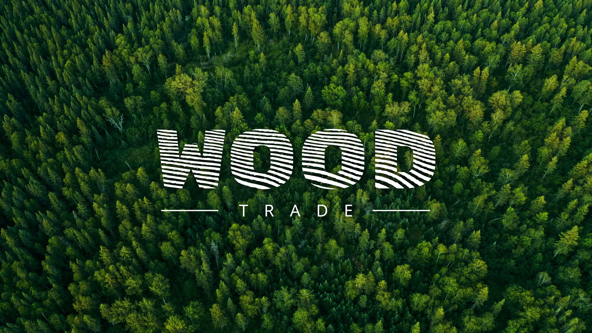 Разработка интернет-магазина компании «Wood Trade» в Полярных Зорях
